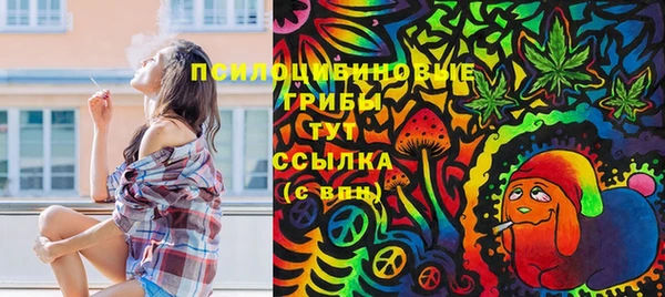 прущая мука Абаза
