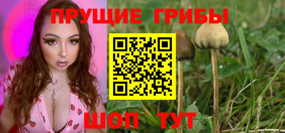Галлюциногенные грибы мицелий Великий Новгород